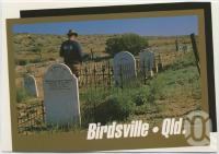<span class="caption-caption">The Cemetery, Birdsville</span>, c1970-2000. <br />Postcard, collection of <span class="caption-contributor">Murray Views Collection</span>.