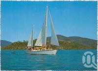 <span class="caption-caption">Nari Cruises, Shute Harbour</span>, c1970-2000. <br />Postcard, collection of <span class="caption-contributor">Murray Views Collection</span>.