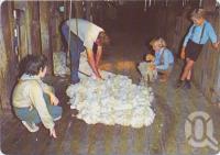 <span class="caption-caption">Historic Jondaryan Woolshed, Darling Downs</span>, c1970-2000. <br />Postcard, collection of <span class="caption-contributor">Murray Views Collection</span>.