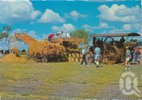 <span class="caption-caption">Historic Jondaryan Woolshed, Darling Downs</span>, c1970-2000. <br />Postcard, collection of <span class="caption-contributor">Murray Views Collection</span>.
