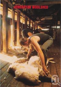 <span class="caption-caption">Historic Jondaryan Woolshed, Darling Downs</span>, c1970-2000. <br />Postcard, collection of <span class="caption-contributor">Murray Views Collection</span>.