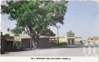 <span class="caption-caption">Leichhardt Tree, main street Taroom</span>, c1938. <br />Postcard, collection of <span class="caption-contributor">Fryer Library, UQ</span>.