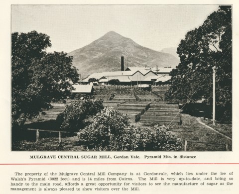 Walsh S Pyramid Height 3 029 Feet And Surrounding Cane Fields Gordonvale Near Cairns Queensland Places