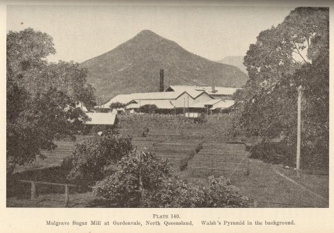 Walsh S Pyramid Height 3 029 Feet And Surrounding Cane Fields Gordonvale Near Cairns Queensland Places